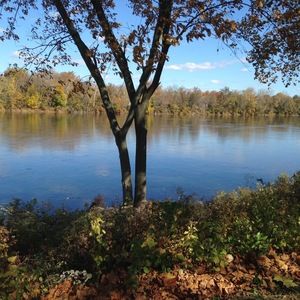 Meet your Posher, Kit